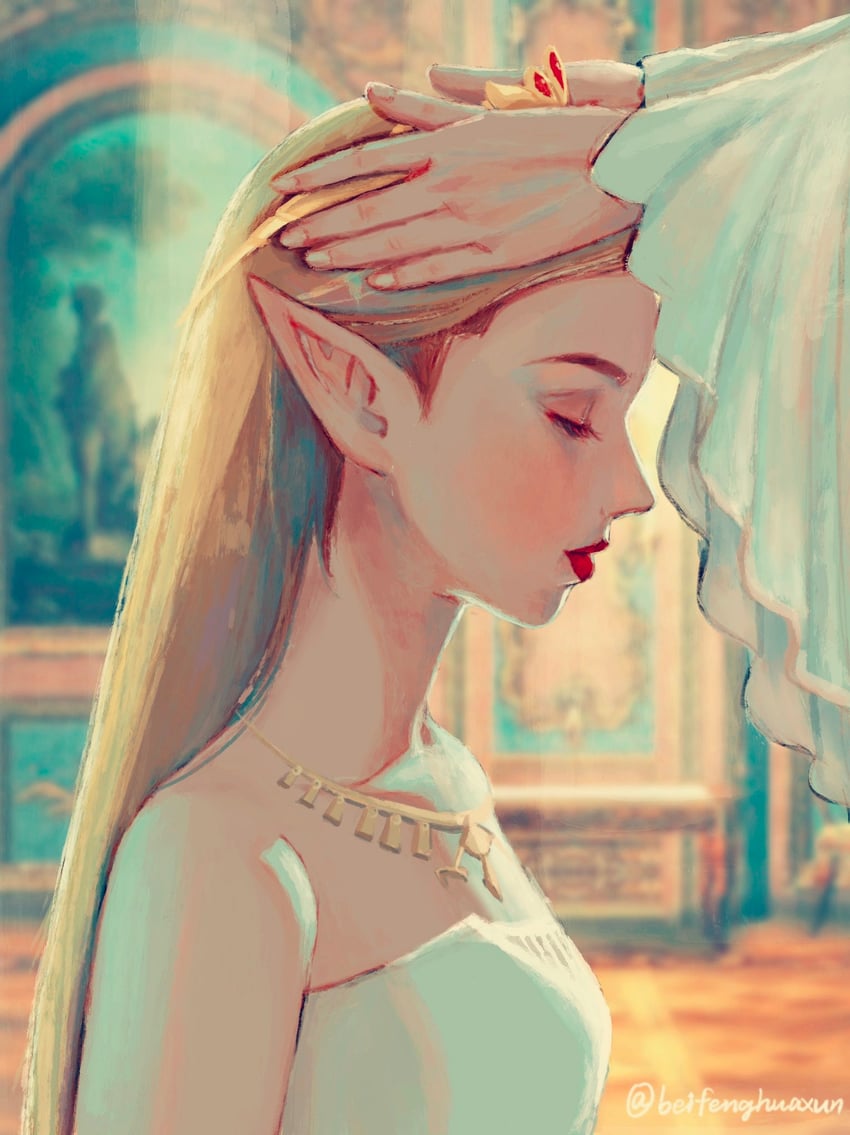 princess zelda (the legend of zelda and 1 more) drawn by beifenghuaxun