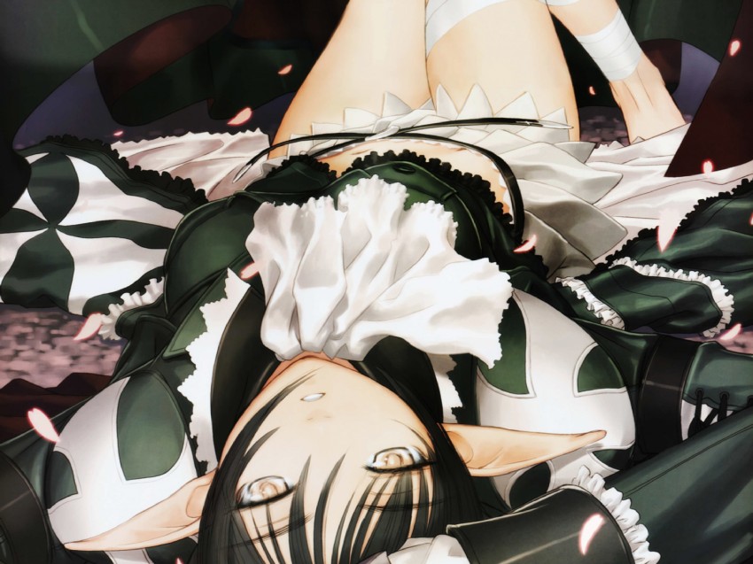 xecty ein (shining and 1 more) drawn by tony_taka