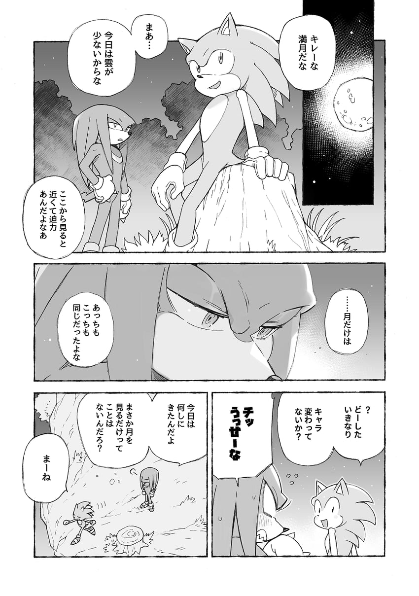 sonic the hedgehog and knuckles the echidna (sonic) drawn by sk_rokuro
