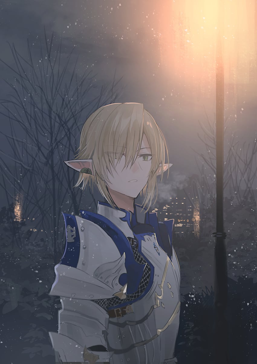 zephirin de valhourdin (final fantasy and 1 more) drawn by chihuri