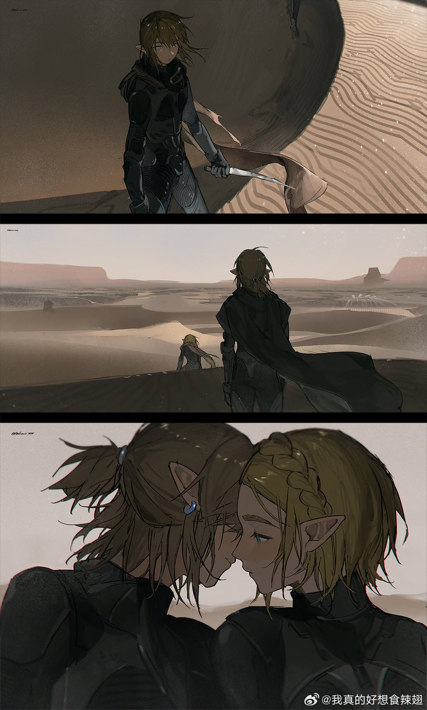 link and princess zelda (the legend of zelda and 3 more) drawn by akihare