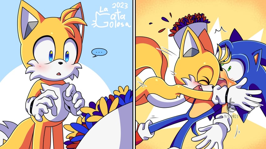 sonic the hedgehog and tails (sonic) drawn by la_gata_golosa