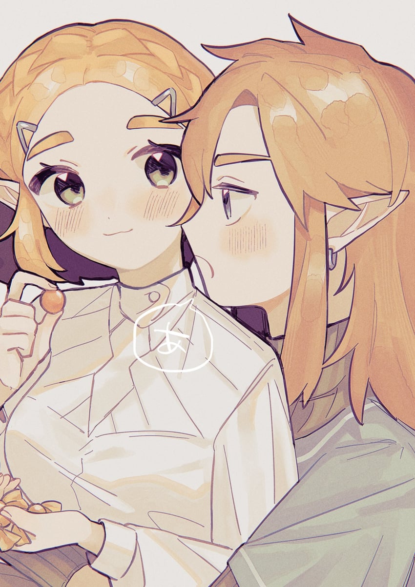 link and princess zelda (the legend of zelda and 1 more) drawn by 710kcal