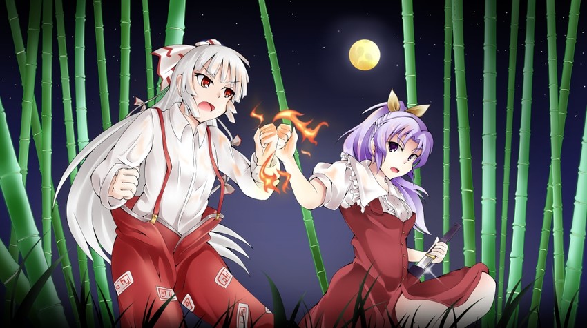fujiwara no mokou and watatsuki no yorihime (touhou) drawn by chiro_(norishiro_michiro)