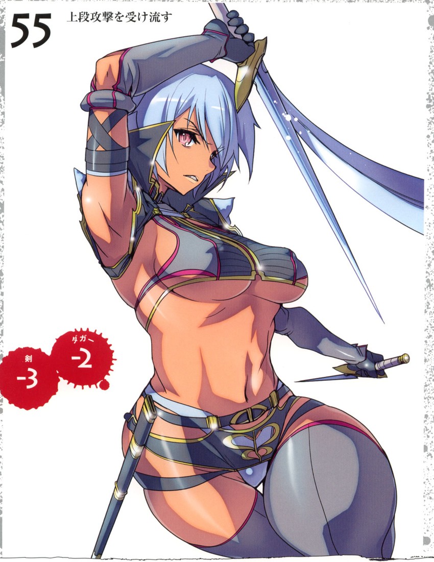 irma and fang assassin irma (queen's blade) drawn by akaga_hirotaka