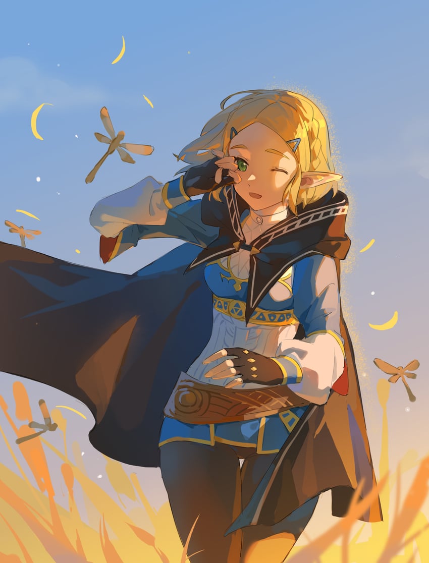 princess zelda (the legend of zelda and 1 more) drawn by wufaxianshi_cnd