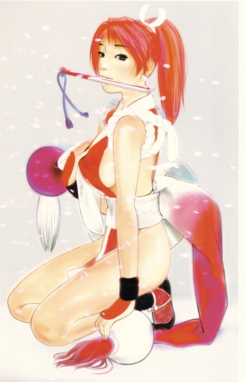 shiranui mai (the king of fighters and 1 more)