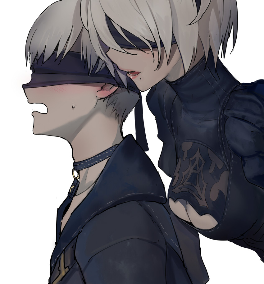 2b and 9s (nier and 1 more) drawn by walzrj