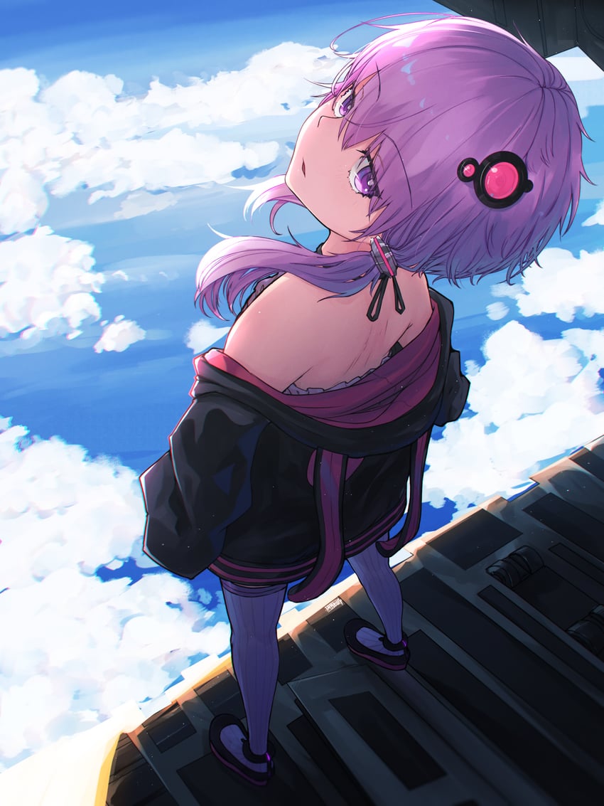 yuzuki yukari (vocaloid and 1 more) drawn by senzaicha_kasukadoki