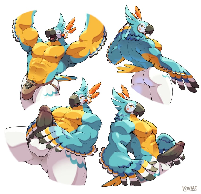 kass (the legend of zelda and 1 more) drawn by voviat