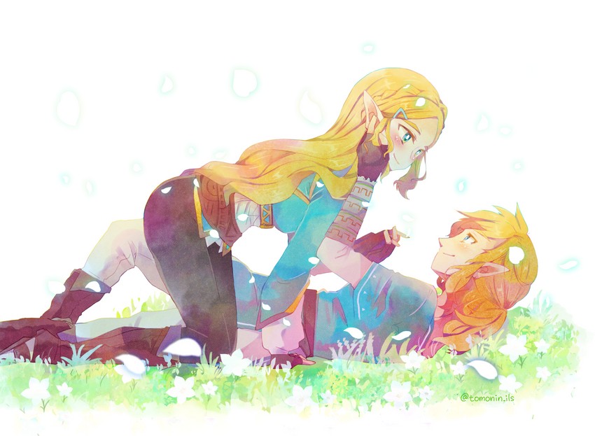 link and princess zelda (the legend of zelda and 1 more) drawn by tomoki_(tomonin)