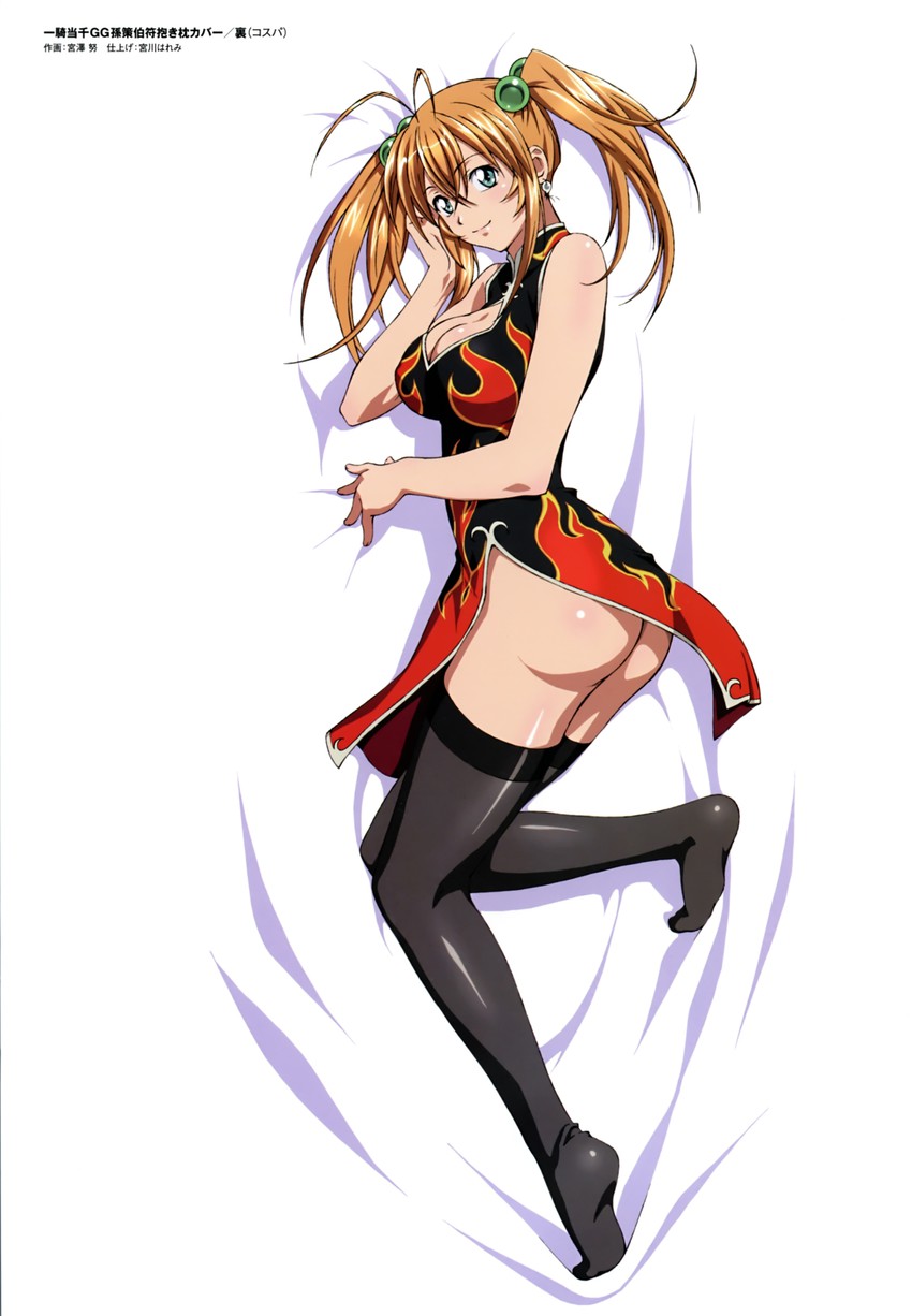 sonsaku hakufu (ikkitousen and 1 more) drawn by miyazawa_tsutomu