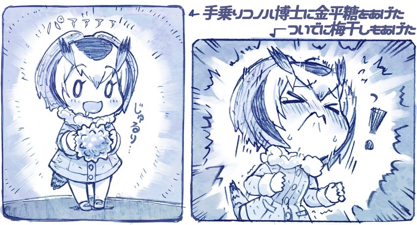 northern white-faced owl (kemono friends) drawn by sakino_shingetsu