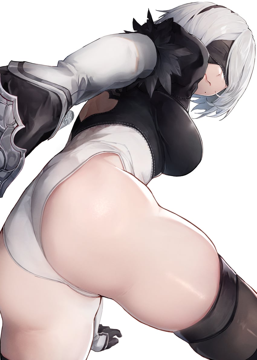 2b (nier and 1 more) drawn by megu_(jim48834420)