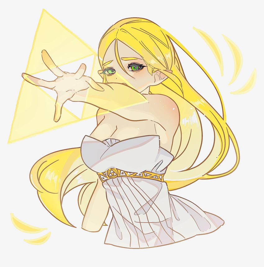 princess zelda (the legend of zelda and 1 more) drawn by shanodesu