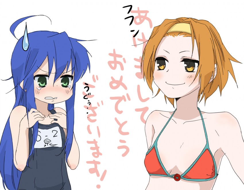 tainaka ritsu and izumi konata (k-on! and 1 more) drawn by bi_ru