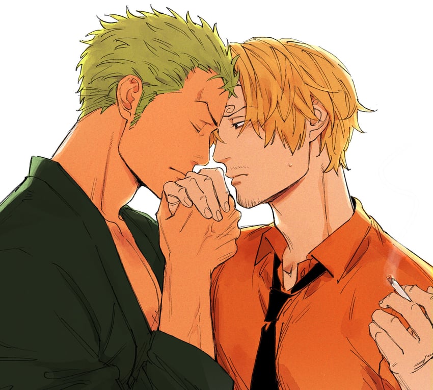 roronoa zoro and sanji (one piece) drawn by kzwtr8