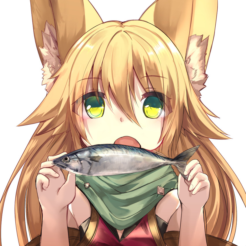 Anime girl with fox ears
