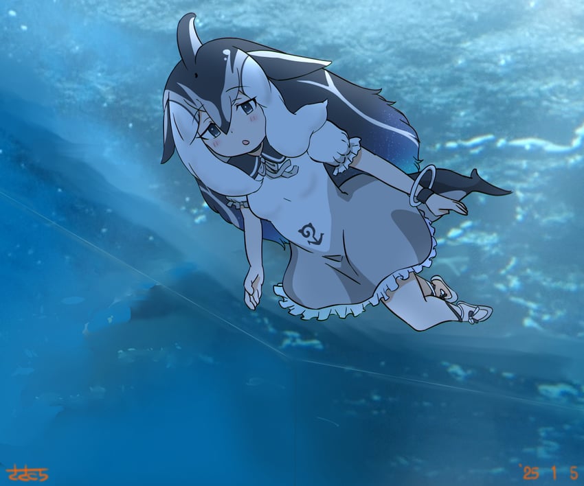 pacific white-sided dolphin (kemono friends) drawn by sasakura_(jgay7435)