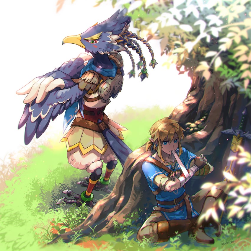 link and revali (the legend of zelda and 1 more) drawn by shiroi_(shiroicbe)