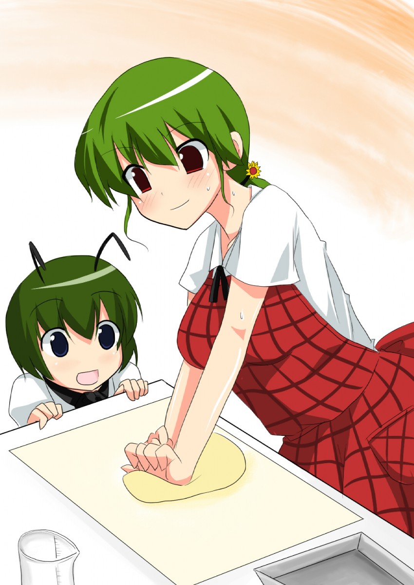 kazami yuuka and wriggle nightbug (touhou) drawn by morino_harifu