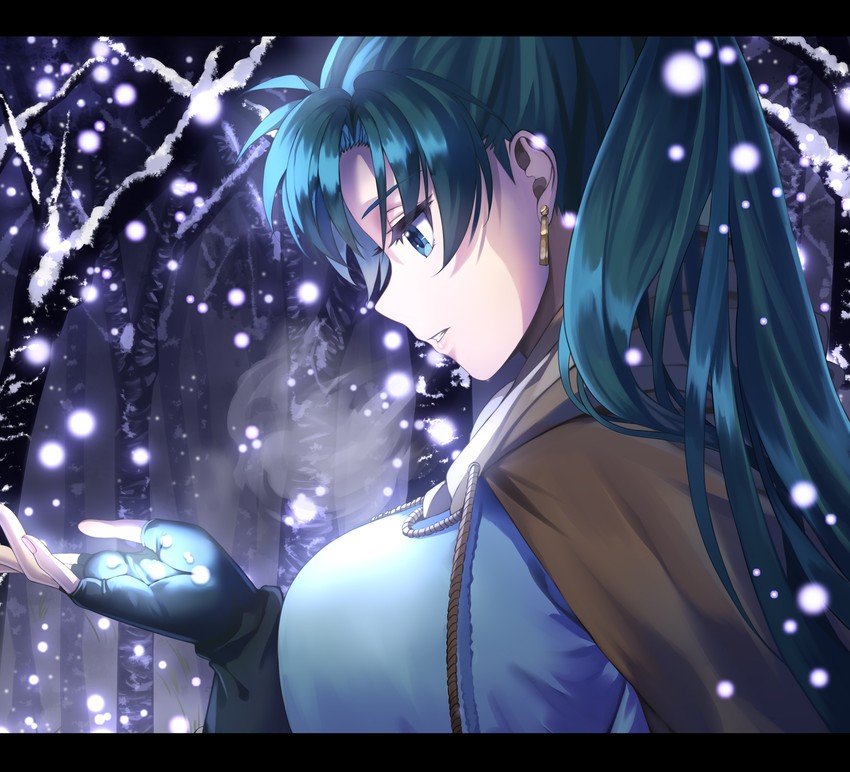 lyn (fire emblem and 1 more) drawn by delsaber