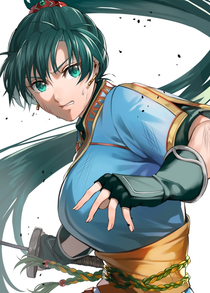 lyn (fire emblem and 1 more) drawn by delsaber