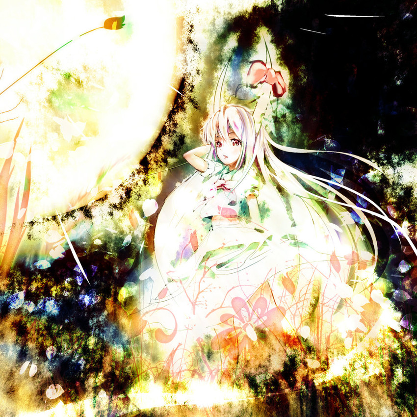 kamishirasawa keine and ex-keine (touhou) drawn by acid-230