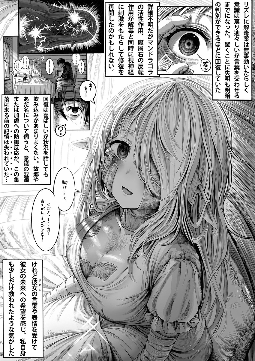 reszurre and kusuriuri-san (boroboro no elf-san wo shiawase ni suru kusuri uri-san) drawn by gibagiba