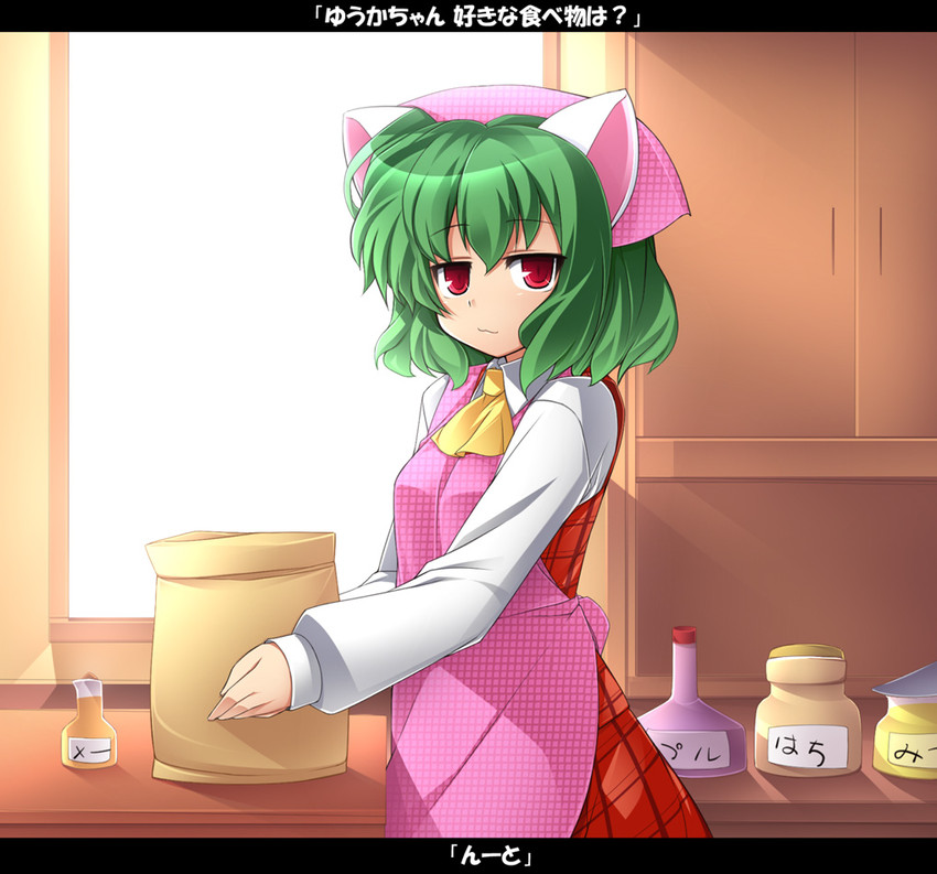 kazami yuuka (touhou) drawn by katami_shinta