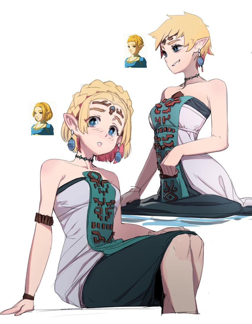 princess zelda (the legend of zelda and 1 more) drawn by sho-n-d