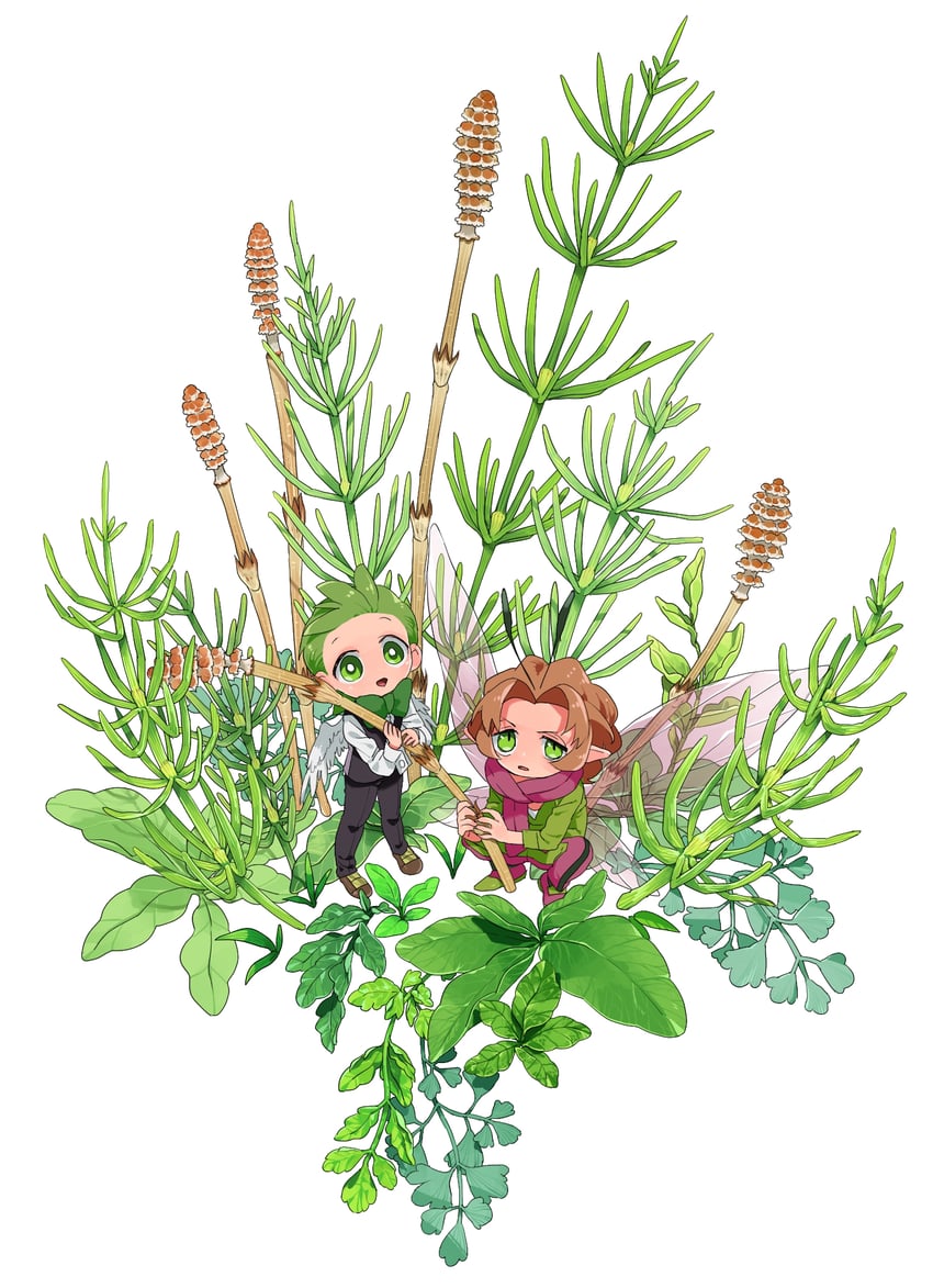 cilan and burgh (pokemon and 1 more) drawn by miyawaki