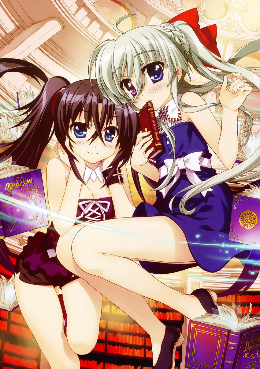 einhard stratos and sieglinde eremiah (lyrical nanoha and 1 more) drawn by fujima_takuya