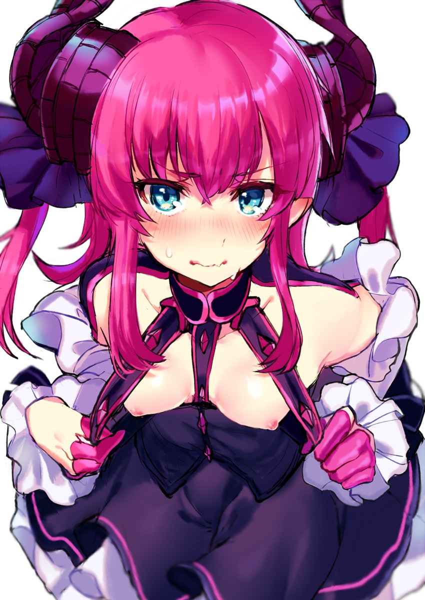 elizabeth bathory (fate and 1 more) drawn by raxxx25_3