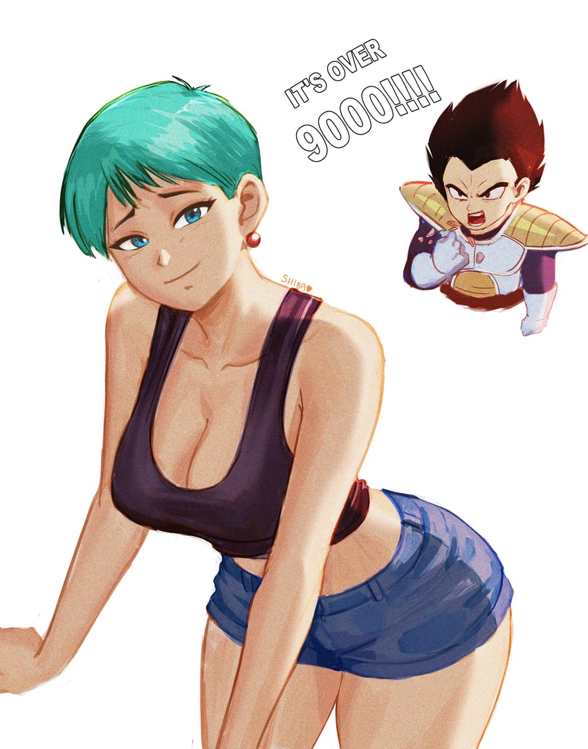 vegeta and bulma (dragon ball and 1 more) drawn by shibbunny