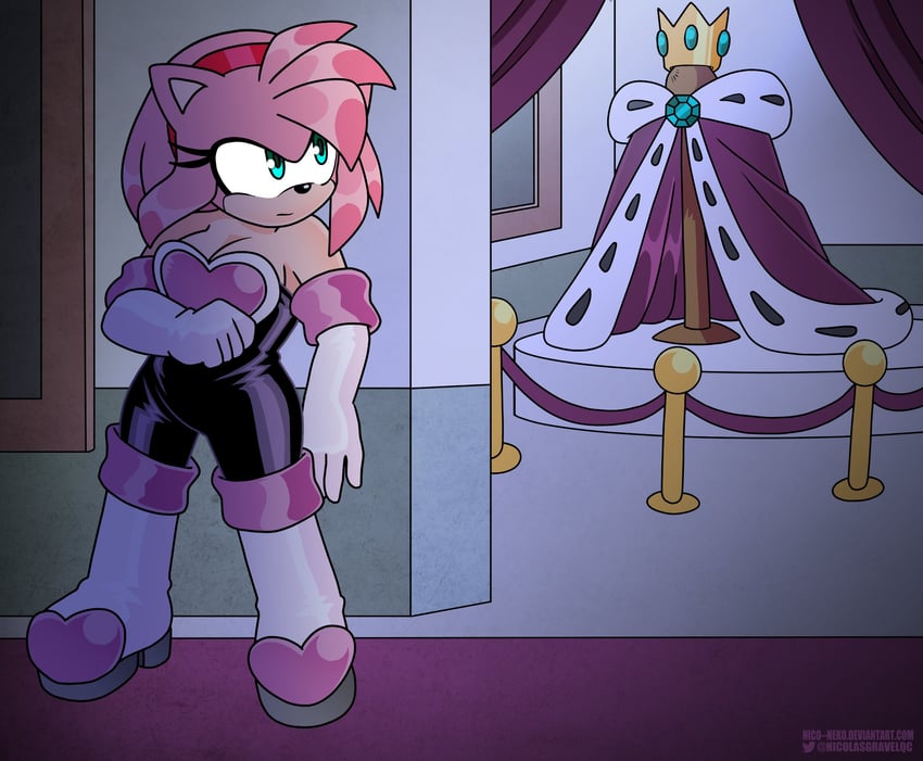 amy rose and rouge the bat (sonic) drawn by nico-neko