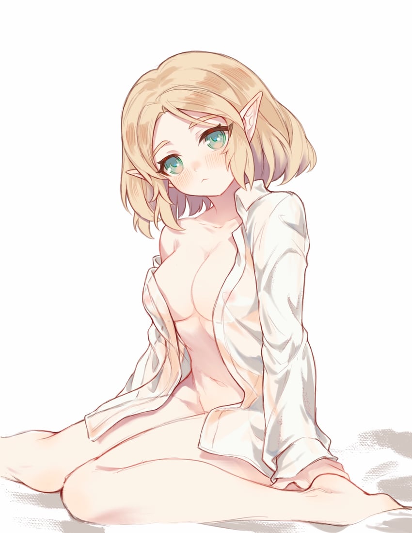 princess zelda (the legend of zelda and 1 more) drawn by atsuakulove