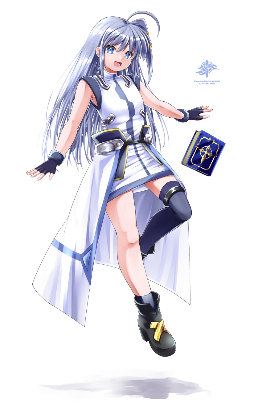 reinforce zwei and book of the azure sky (lyrical nanoha and 2 more) drawn by sougetsu_izuki