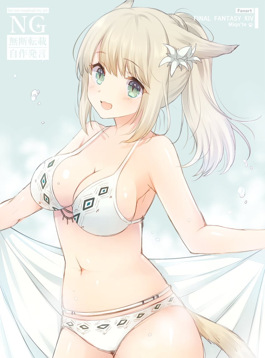 warrior of light (final fantasy and 1 more) drawn by ayamisiro