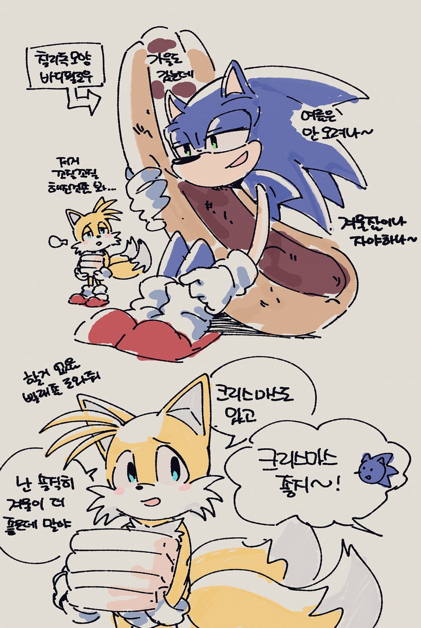 sonic the hedgehog and tails (sonic) drawn by banri_0917