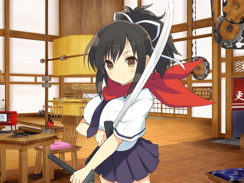 asuka and ninto (senran kagura and 2 more) drawn by yaegashi_nan