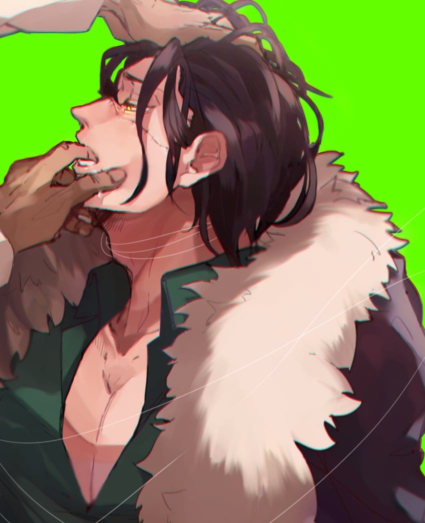 donquixote doflamingo and crocodile (one piece) drawn by mirin_(coene65)