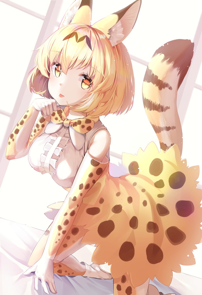 serval (kemono friends) drawn by animal_ears_(norankkori)