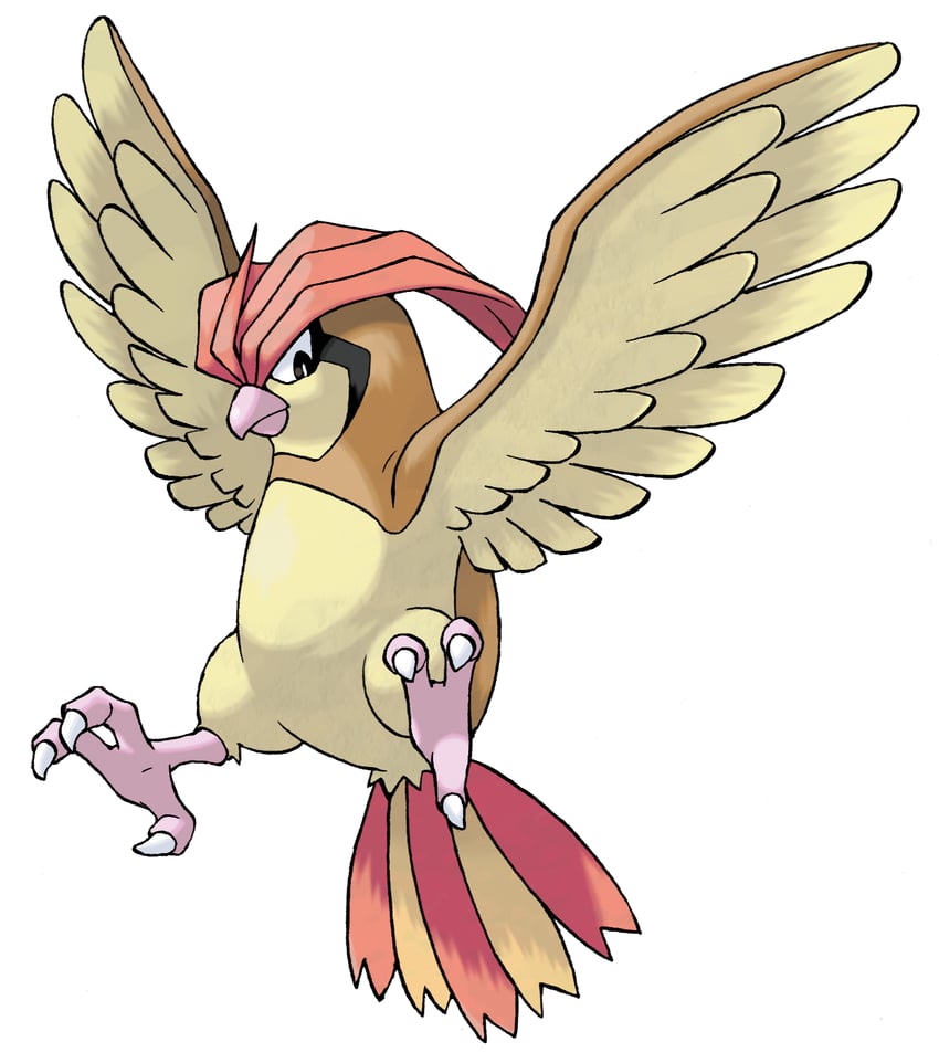 pidgeotto (pokemon and 1 more) drawn by sugimori_ken