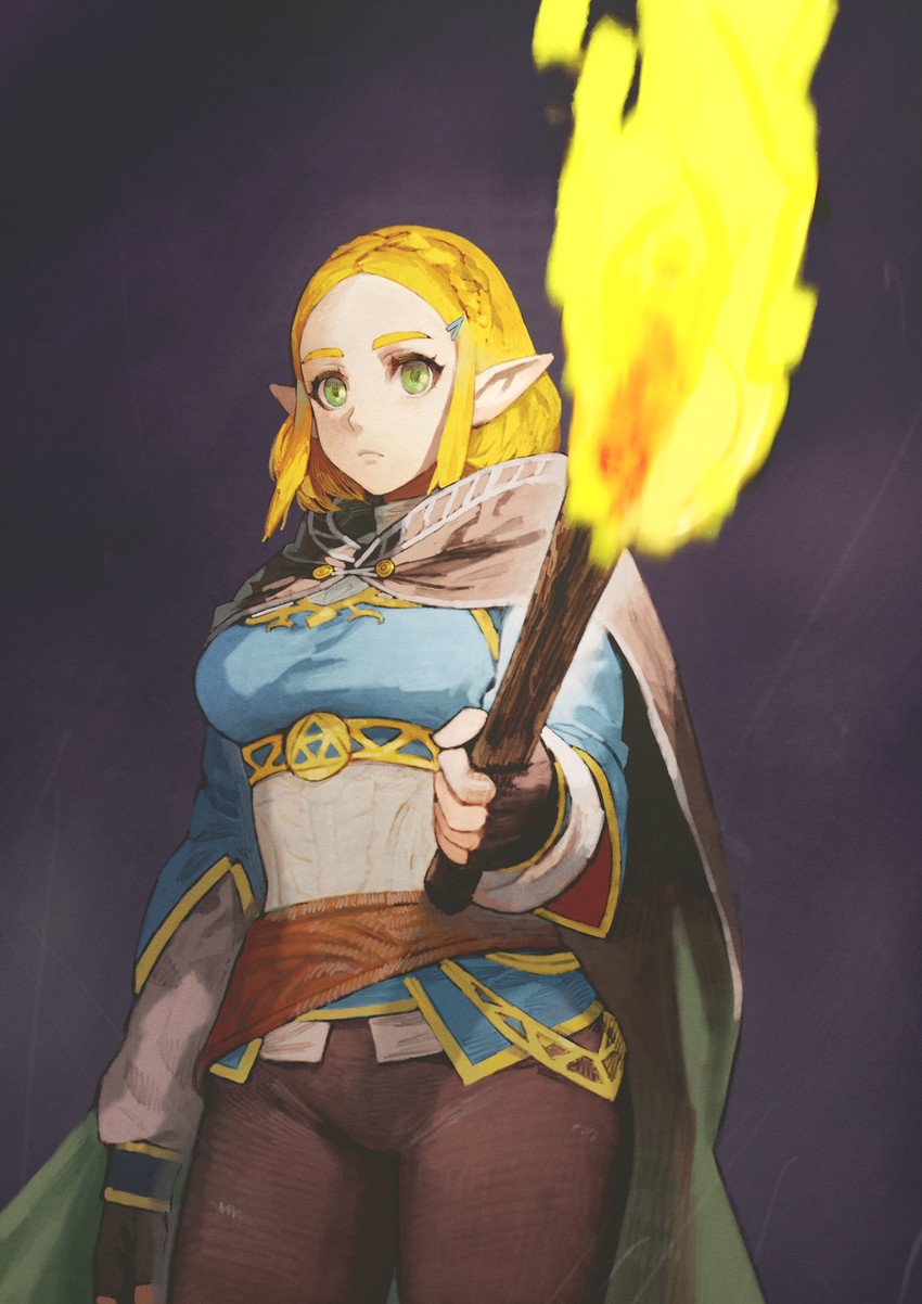 princess zelda (the legend of zelda and 1 more) drawn by jun_(navigavi)