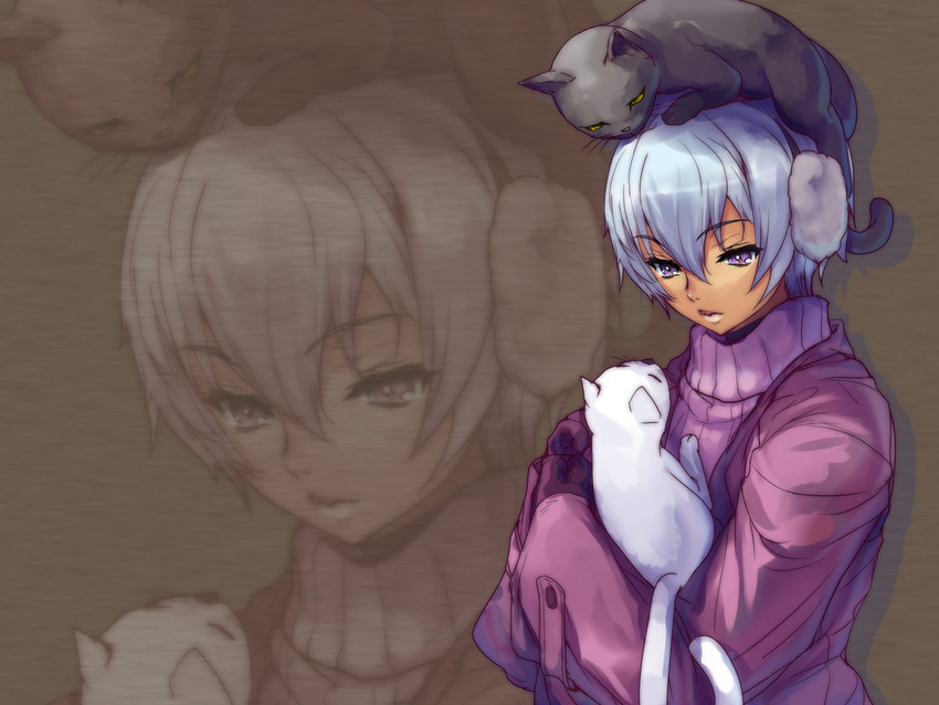 irma and fang assassin irma (queen's blade) drawn by akaga_hirotaka