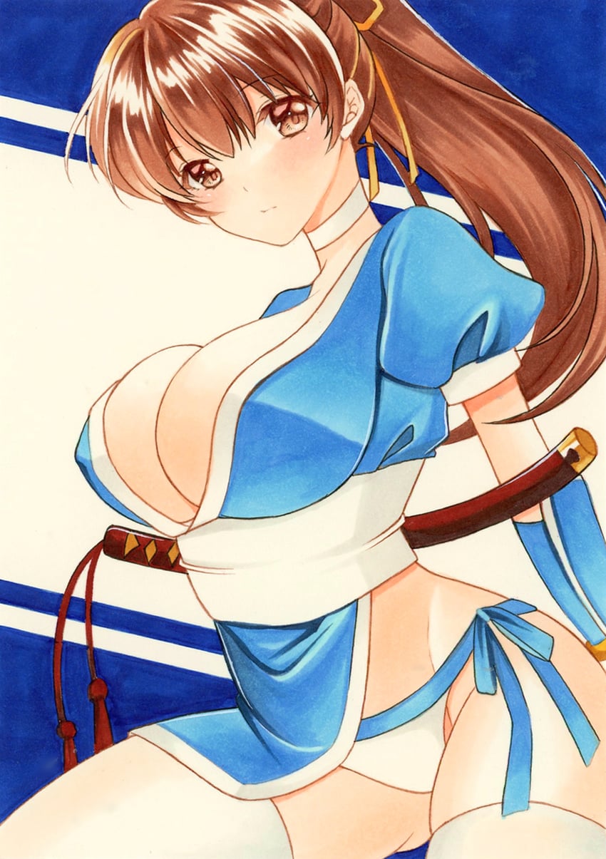 kasumi (dead or alive) drawn by suzu_(o_o1219)