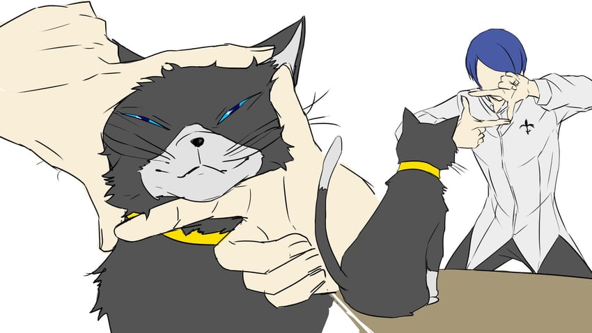 morgana and kitagawa yuusuke (persona and 1 more) drawn by igusaharu