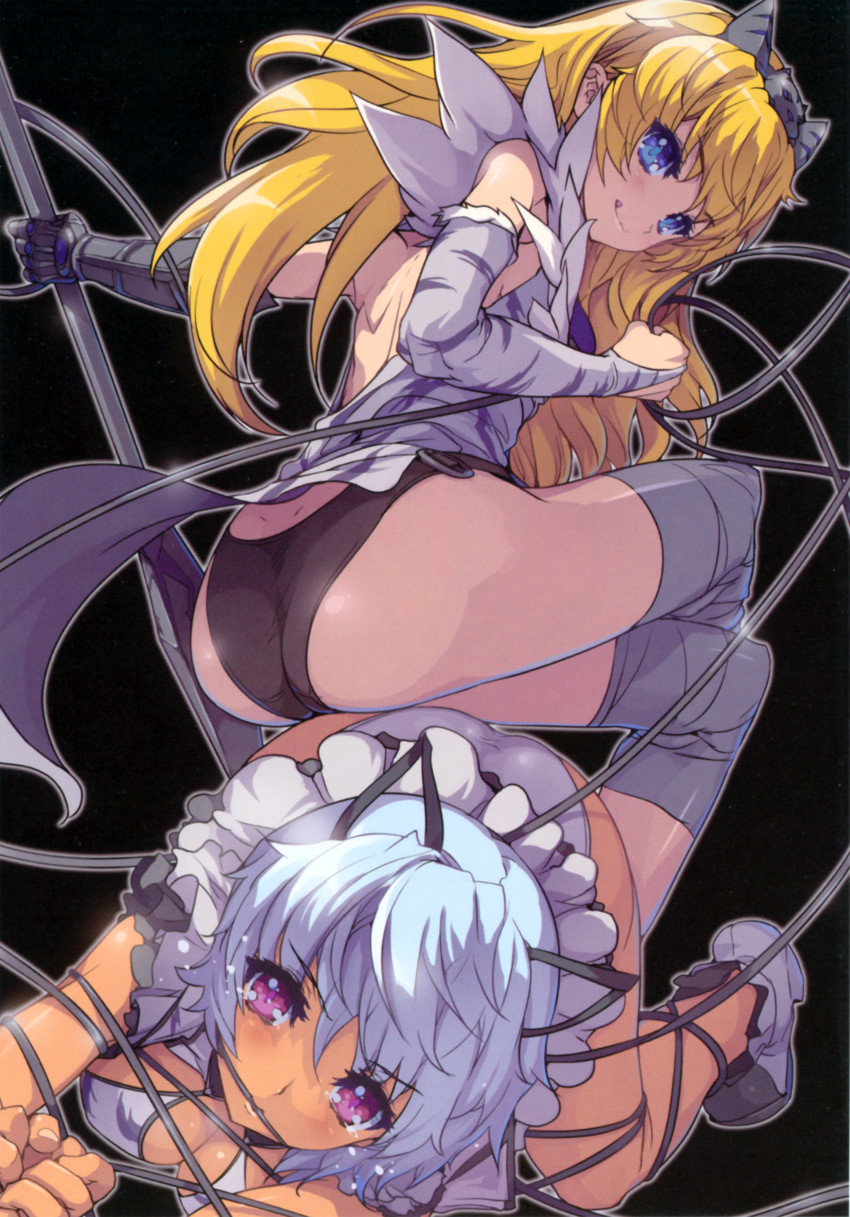 elina, captain of the royal guard elina, irma, and fang assassin irma (queen's blade) drawn by akaga_hirotaka