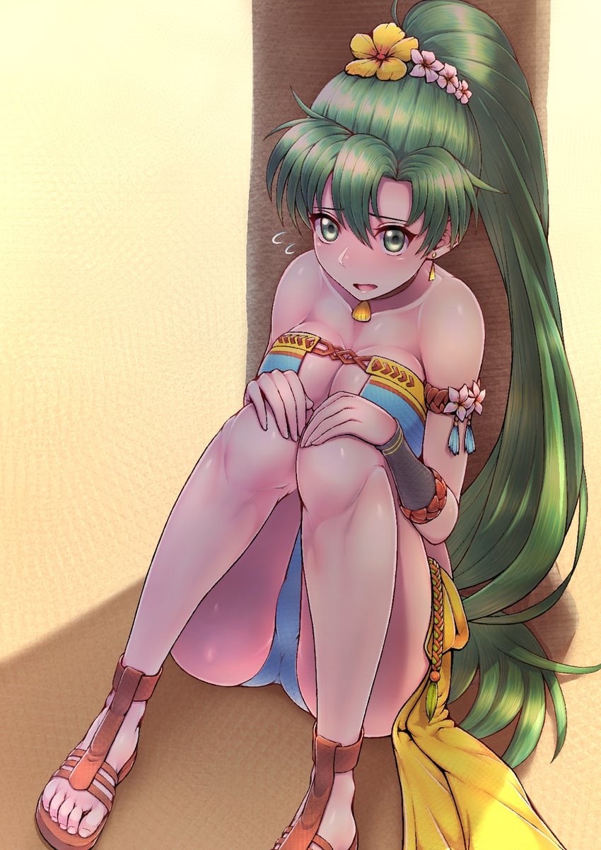 lyn (fire emblem and 2 more) drawn by fukadumeasadume